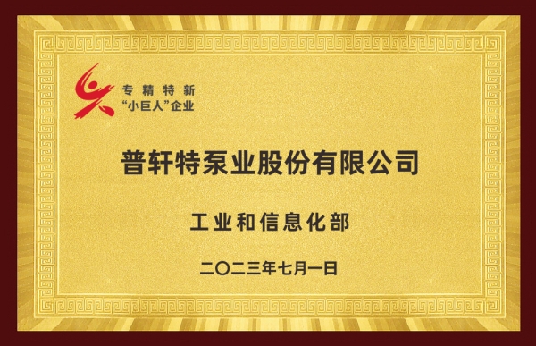 “專精特新”小巨人企業(yè)